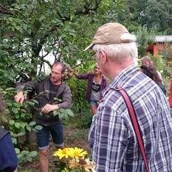 Die Gartenfachberatung -die feste Säule im Kleingartenwesen 