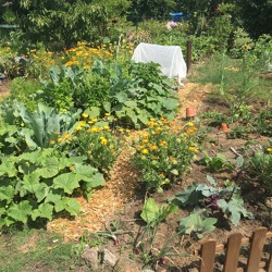 Kleingärtnerische Nutzung -das muss im Garten