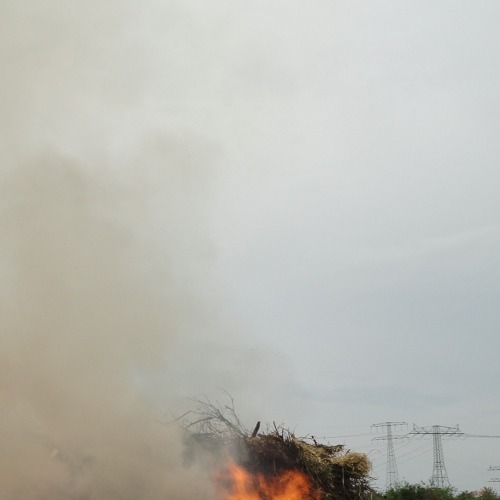 Verbrennen von Gartenabfällen und Grünschnitt ist verboten