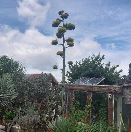 Gartenfreund 10/2024 mit einem Beitrag aus Eiche Süd