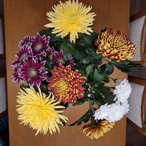 Auszeichnungen verdienter Kleingärtner