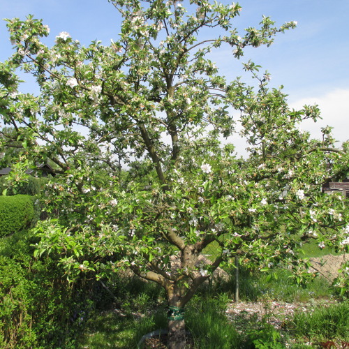 Gartenseminare Berlin-Marzahn 2026