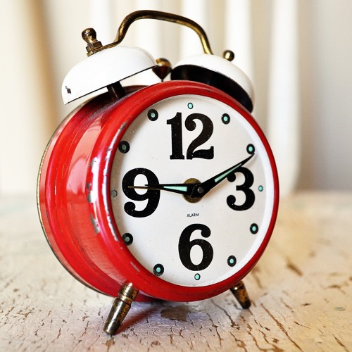 Sprechstunde Gartenfachberatung